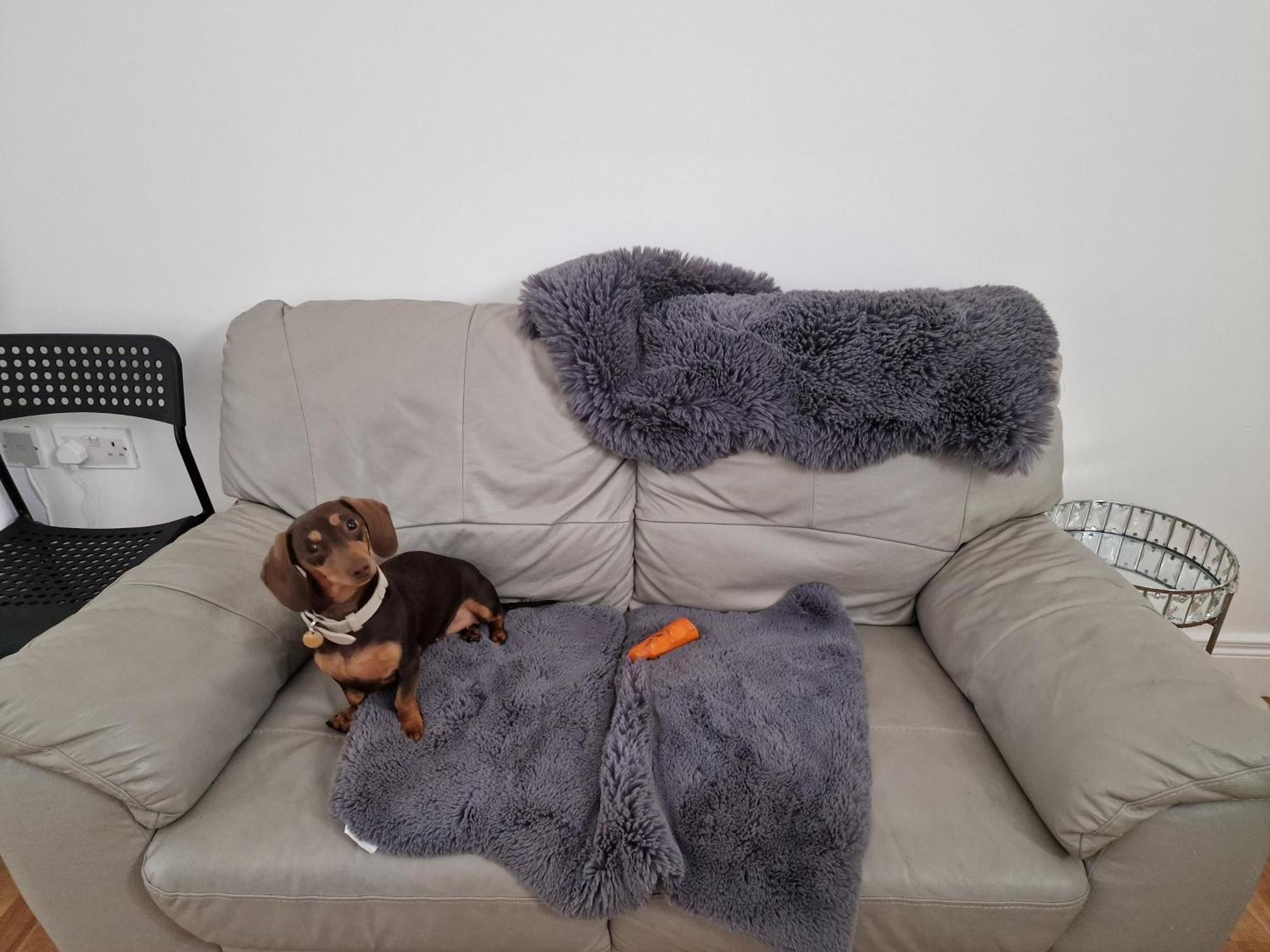 Хостел Aunty Katie'S House, Ni Tourist Board Certified & Located On The Main Oldpark Road To Belfast, With Free Continental Breakfast & Free Ultra Fast Sky Internet, Free Sky Sports & Free Sky Cinema, Self-Check In After 10Pm Gmt Экстерьер фото